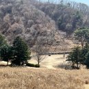 라 까시나 이태리 이미지