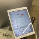 필라테스(강좌번호:21) | 천안 불당동] 로라필라테스 필라테스 체험 후기