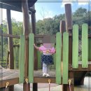 밤골여울마당 이미지