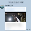 전주 하진스필름 본식 DVD 후기