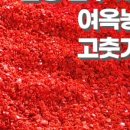 여옥농장 네이버블로그