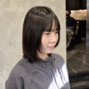 장마철 부스스한 중단발 거지존, 볼륨매직 정리 후기