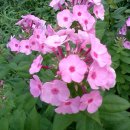 고씨제당약수터 이미지