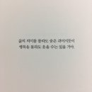 타코퀸 이미지