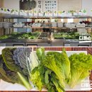 윤훈식농가쌈밥군위점 | 구니cc 맛집 윤훈식농가쌈밥 깔끔한 식사