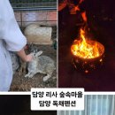 담양 리사 숲속마을 | 전남키즈펜션 담양 리사 숲속마을 솔직 후기