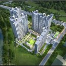 나노벨리 이미지