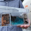 우주전자 이미지