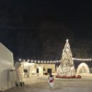 파주발랑캠핑타운 | 파주 크리스마스 캠핑식당 - 파라프라 경기북부점