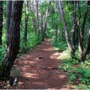 몽암사약수터 이미지