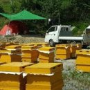 고려축산