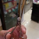 정오양헤어비스 이미지