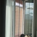 숲속 하얀 뜰 이미지