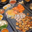 꿀돼지 | 부산 사상 저녁 추천 꿀돼지 문현 곱창 별관 후기