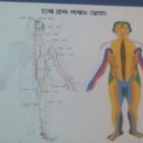 국제스킨아트