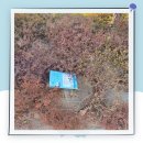 도포면사무소 이미지