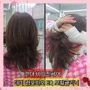 GS25 기장햇살점 | 건대 미용실 바이진헤어 미디움기장 데미 컴포지오 EQ 모발클리닉 후기