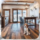 강아지 보호센터 | 광명 강아지보호센터 유기견보호센터봉사 후기 예산별 맞춤 선택 가이드