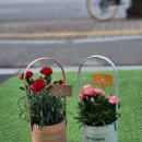 꽃과사람들 네이버블로그