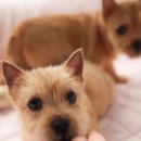 오픈주 하남스타필드점 이미지