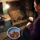 기장짚불곰장어 이미지