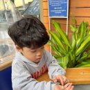 미래목장 | 수원 아이랑 가볼만한곳｜국립농업박물관 실내 곤충체험+두레질+목장 종이접기(4살 5살)