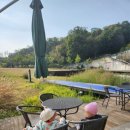 북서울꿈의숲(상상톡톡미술관) | 북서울꿈의숲 상상톡톡미술관 에르베 튈레 전시회 14개월 아기랑