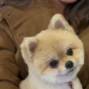 굴나라 티스토리