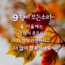 대구광역시 앞산전망대- 케이블카 관람 이미지