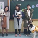 원광대학교 보건·보완의학대학원 이미지