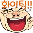 진주킹덤주짓수 이미지