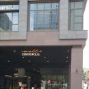 공평동 가로수길 이미지