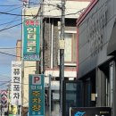 마산수산시장 | 경남 국화축제 여행 후 마산 합성동 맛집 베비도