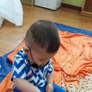 제일끼꼬어린이집 네이버블로그