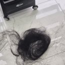 이날헤어 - 천안시 서북구 | 이날헤어
