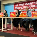 제주특별자치도 권익옹호기관 이미지