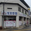 성모반점 이미지