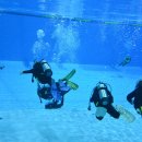 용운국제수영장 이미지