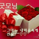 요이땅