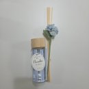 모던파마 | 모던하우스 AK플라자 세종점 쇼핑 내돈내산 후기