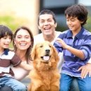 나라애견 이미지