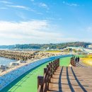 바다공원 이미지