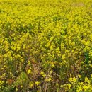 푸른메디칼 이미지