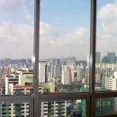 메이플라워 이미지