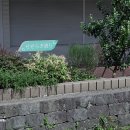 세세라기 이미지