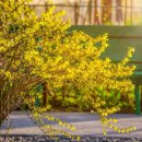 동의보감해독한의원 이미지