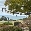 오시아노골프장 | 2025 대한민국 10대골프장 해남 파인비치골프링크스 따뜻한 겨울골프