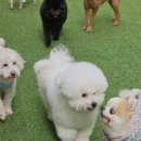 멍스토리 이미지