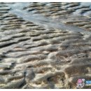 까망모래 이미지