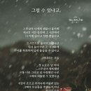 실버라인 이미지